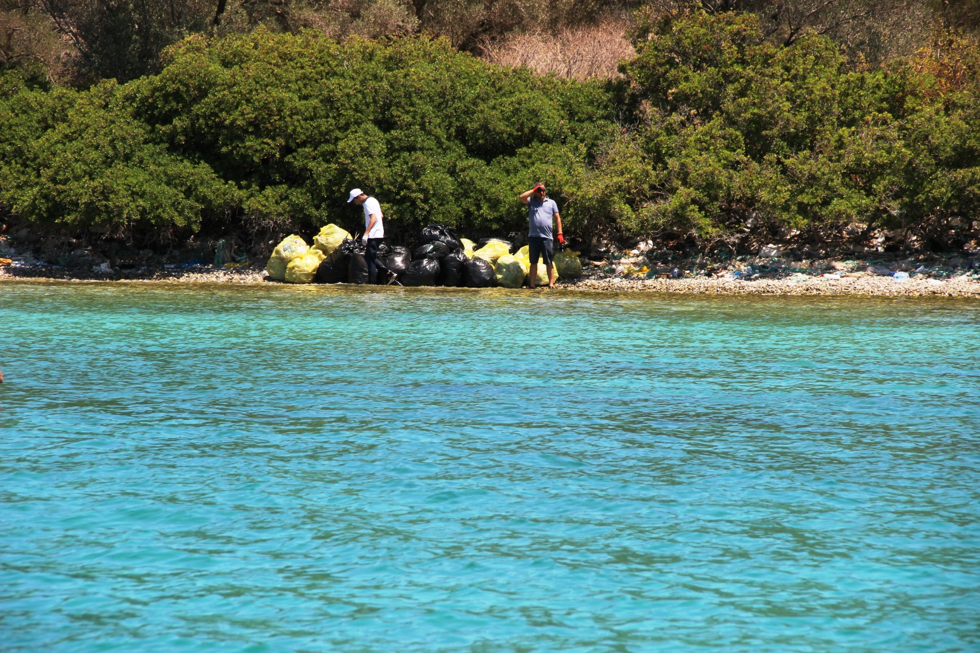 Muğla İl Tarım ve Orman ekipleri, Bodrum kıyılarından ve denizden binlerce ton çöp çıkardı