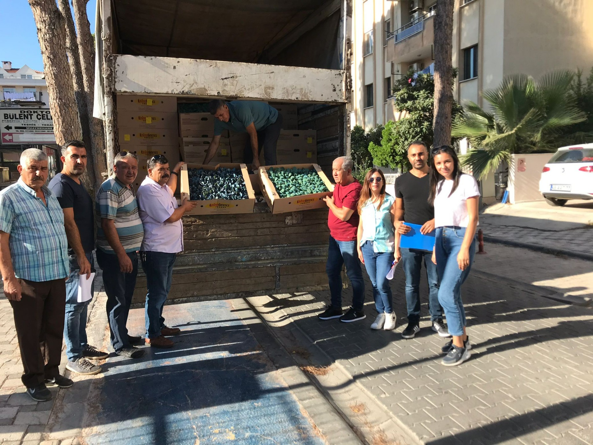 Muğlalı çiftçiler kışa hazırlanıyor: 121 bin 507 kışlık sebze fidesi dağıtıldı