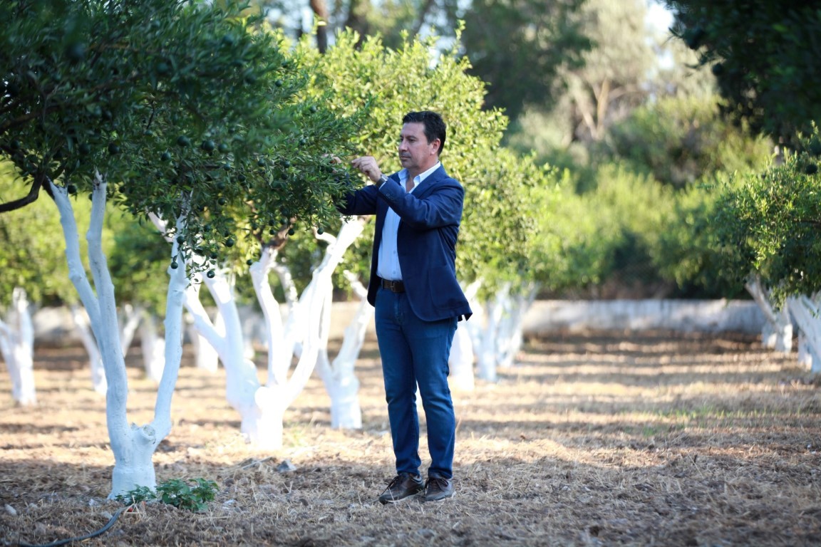 Bodrum’da mandalinalara dijital kimlik verilecek