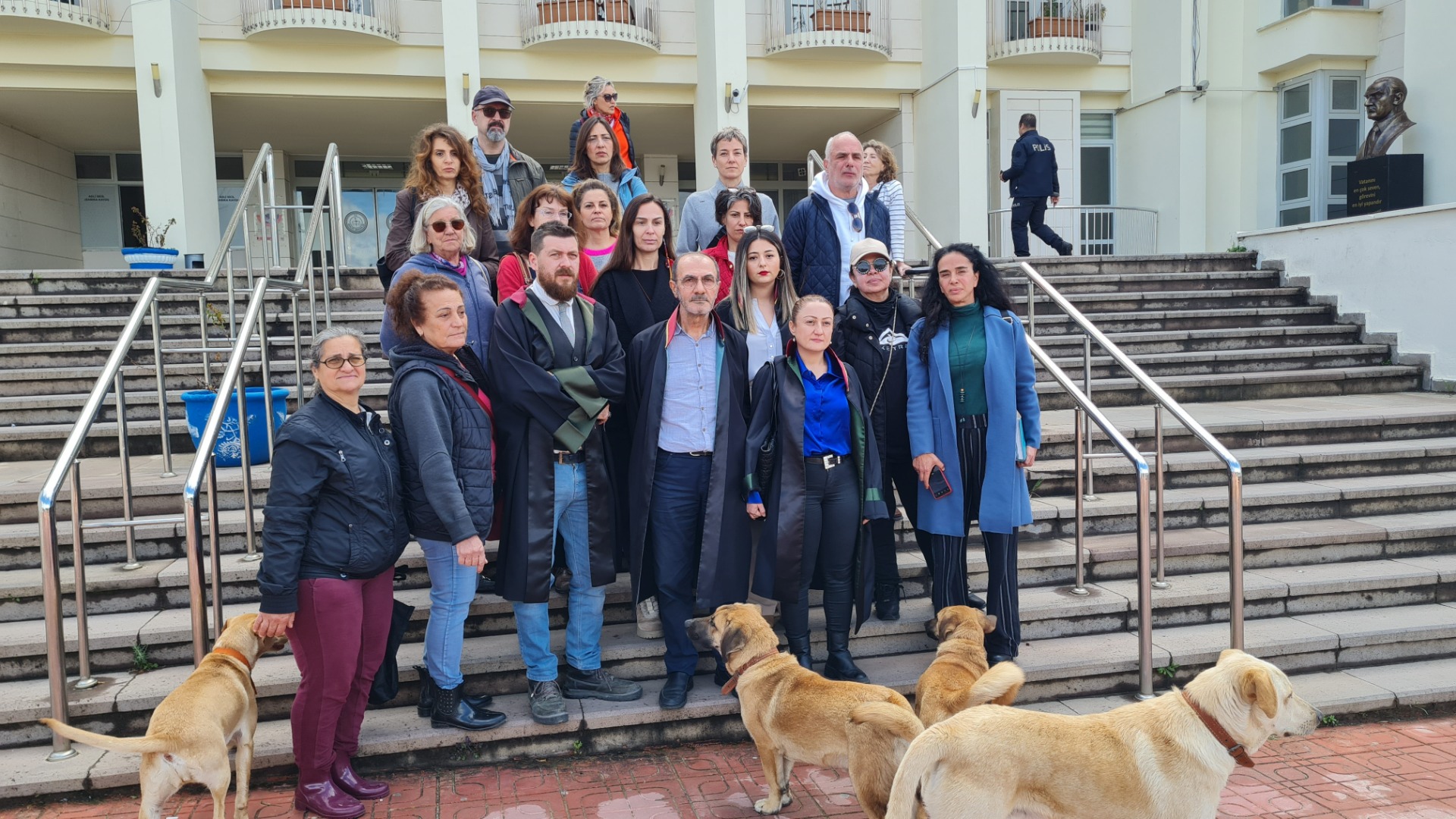 Bodrum'da köpeklerin zehirlenmesi ile ilgili davada mahkemeden durdurma kararı