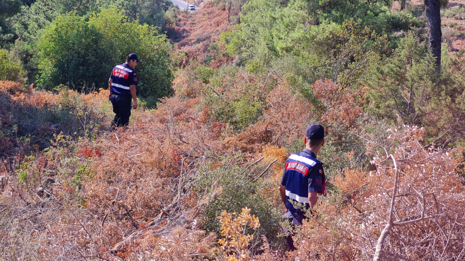 Bodrum’a çalışmaya gelen genç 1 aydır kayıp