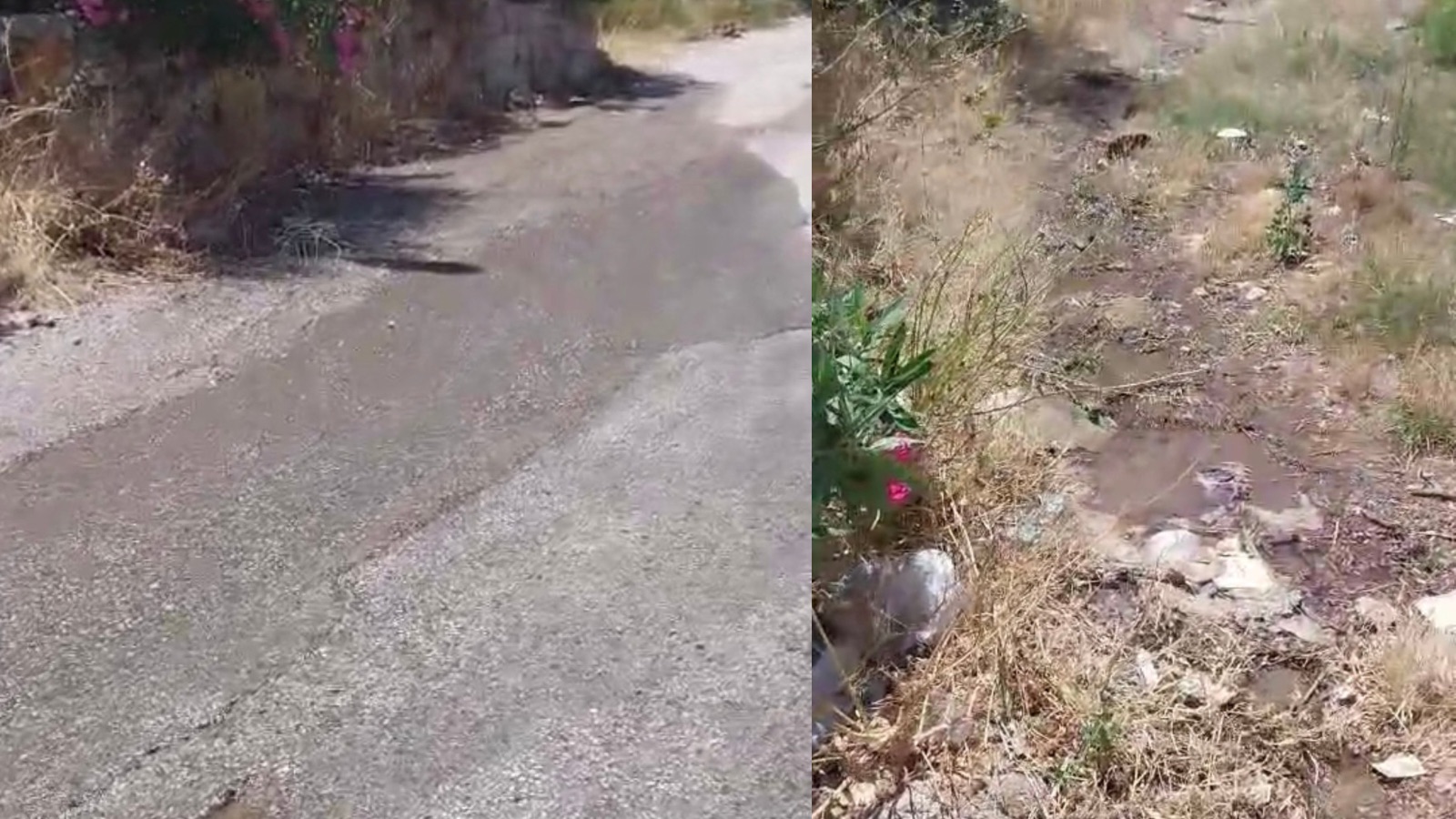 Bitez’de özel bir tatil kulübün arıtma suyunu caddeye salması tepki çekti 