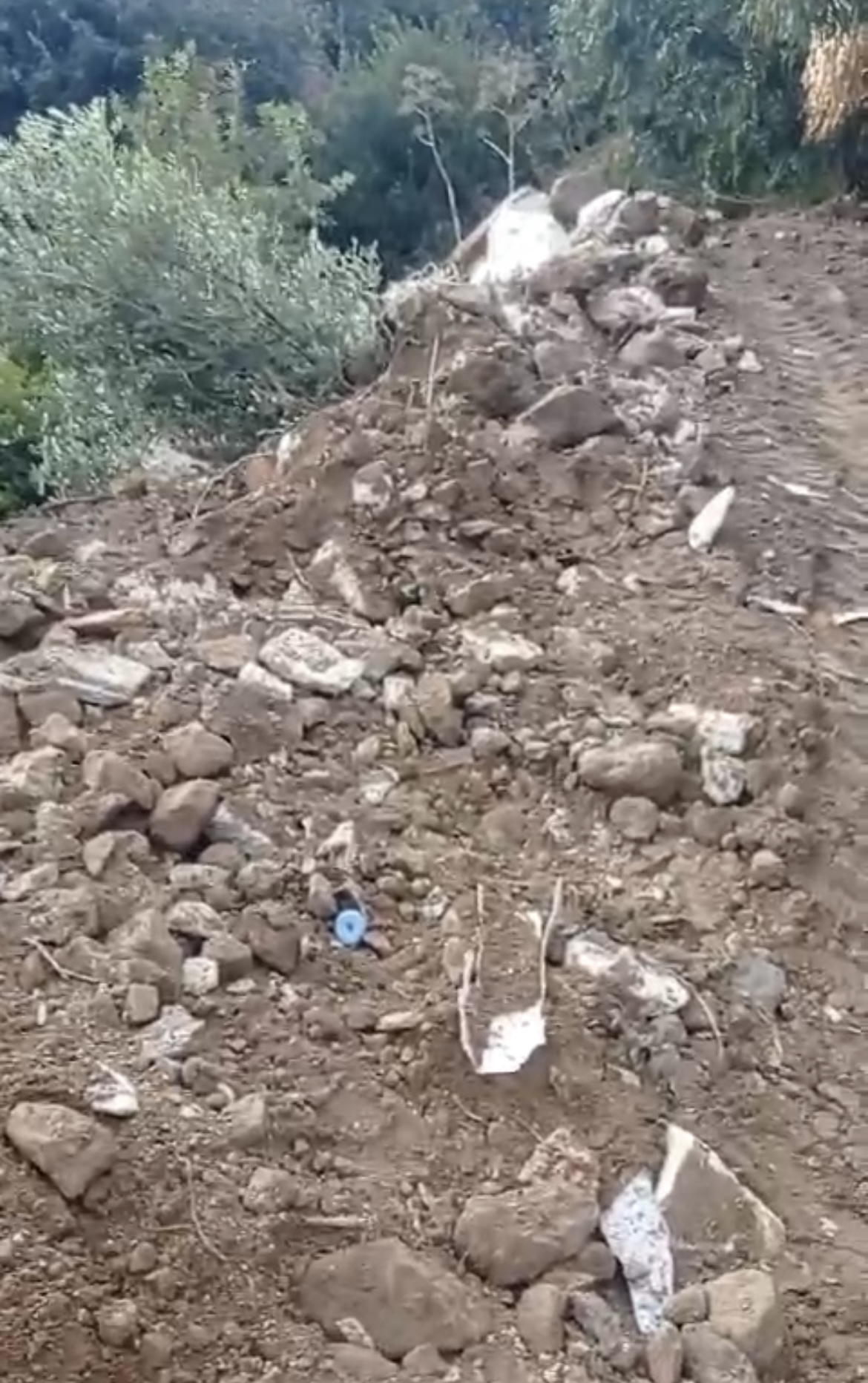 Bitez’de doğa talanı: yeşillik alana kamyonlarla hafriyat döküldü 