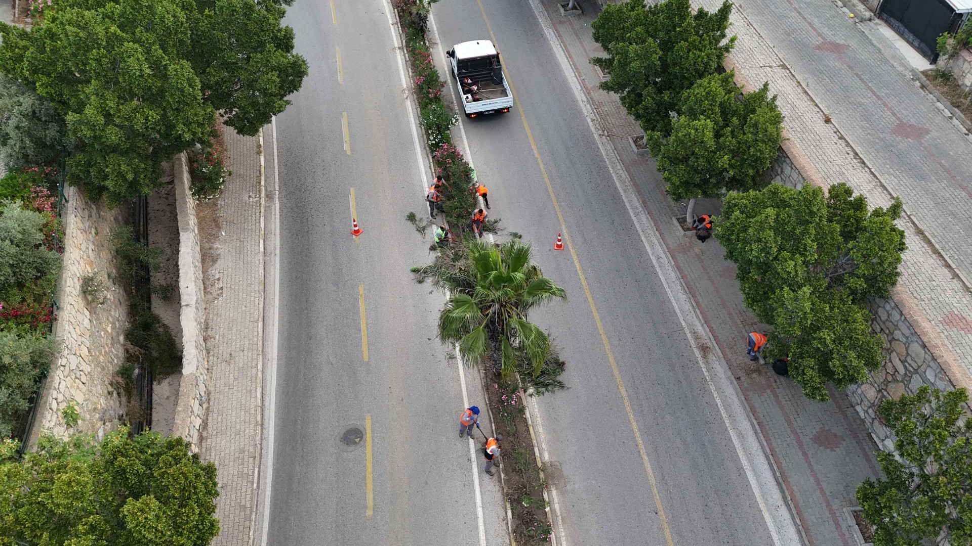 Bodrum’da Kurban Bayramı öncesi çalışmalar sürüyor 