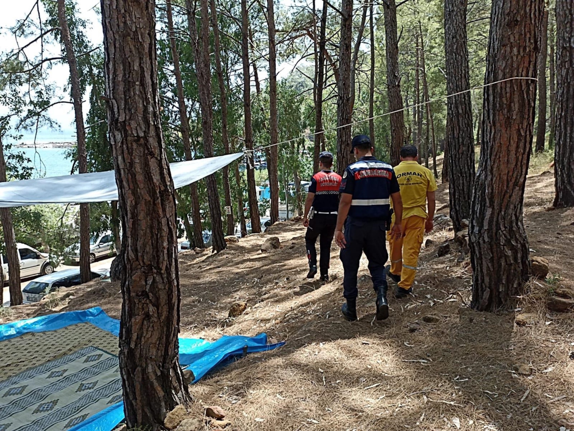 Muğla’da yangın riski yüksek ormanlık alanlara 1 Mayıs-30 Kasım arasında giriş yasak