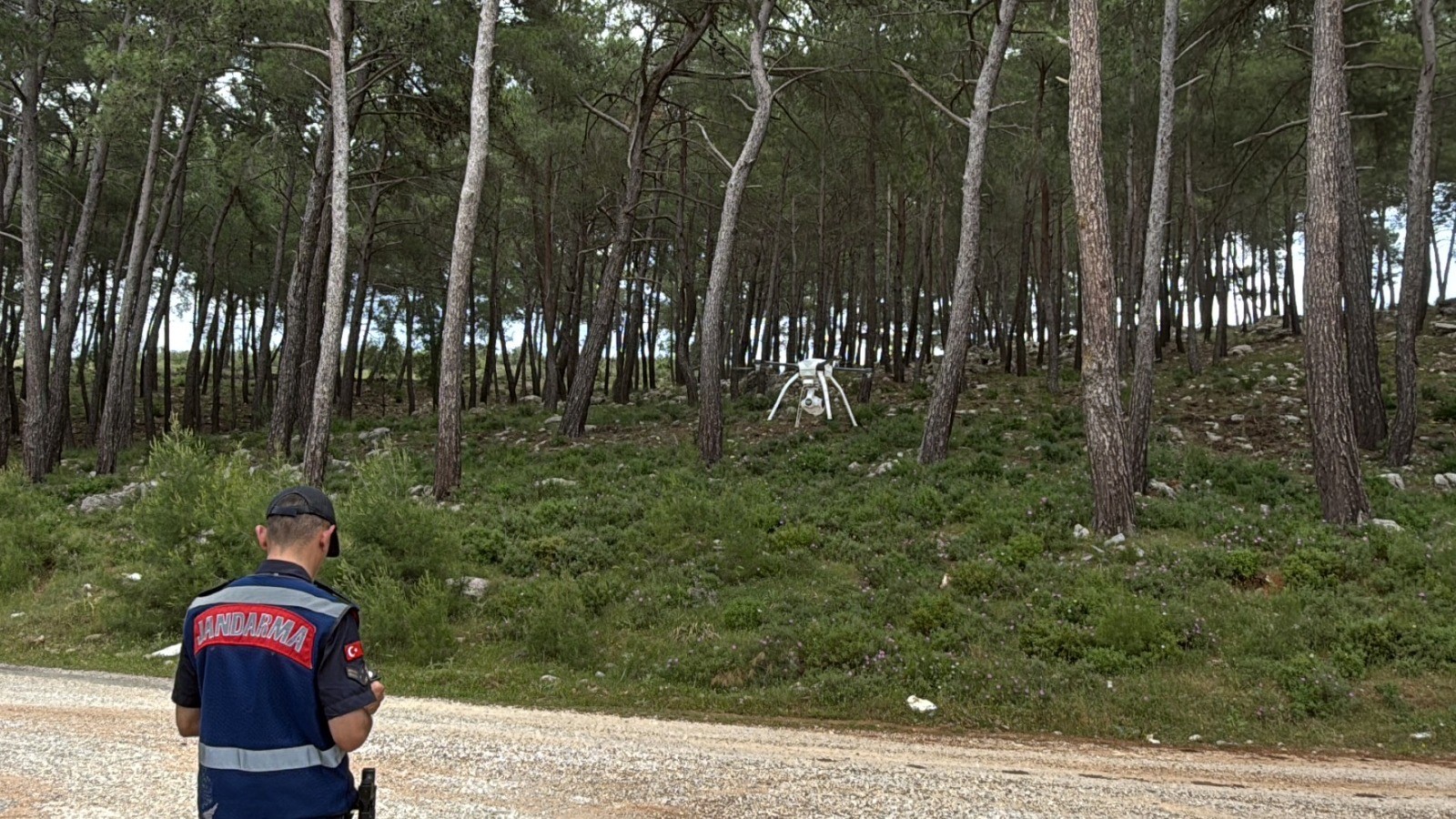 Jandarma teyakkuzda: Bodrum’da ormanlara giriş yasaklandı