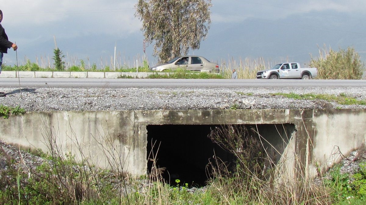 Doğaseverlerden, ekolojik köprü çağrısı 