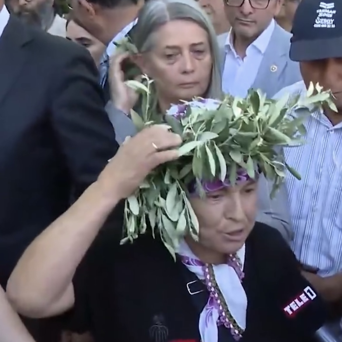 Son dakika... Tartışmalı 'zeytinlik' maddesi komisyonda kabul edildi