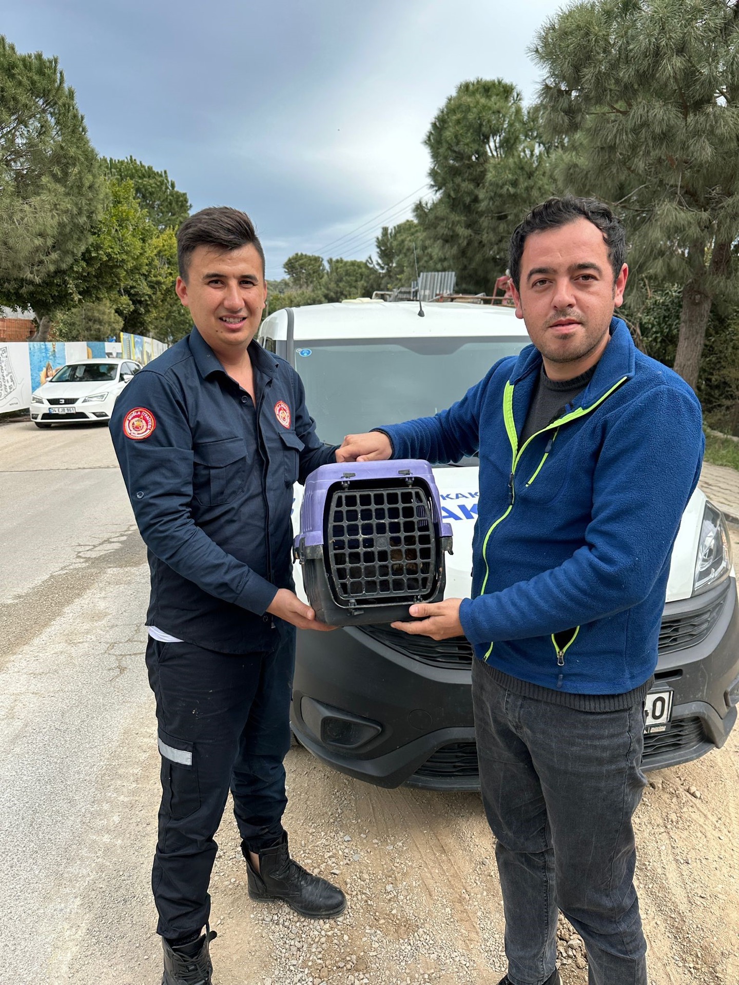 Bodrum’da kuyuya düşen kediyi itfaiye ekipleri kurtardı