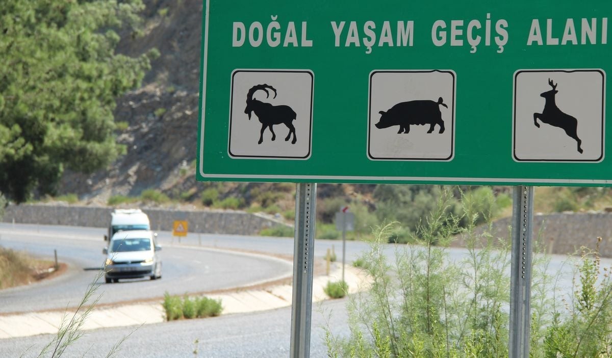 Doğaseverlerden, ekolojik köprü çağrısı 