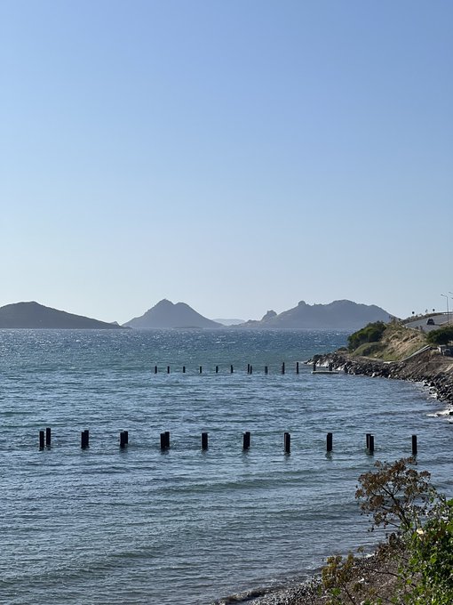 Turgutreis’teki rezidans ve otel inşaatı, deniz çayırlarını yok edecek! 