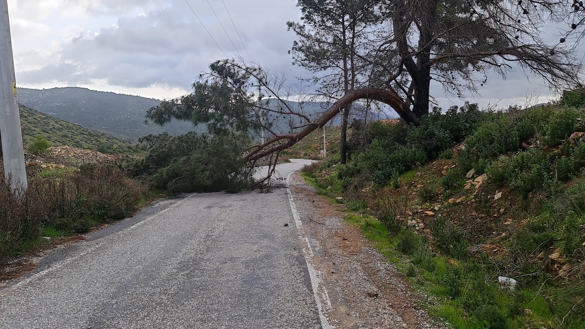 Bodrum’da fırtına ve sağanak yağış etkili oldu