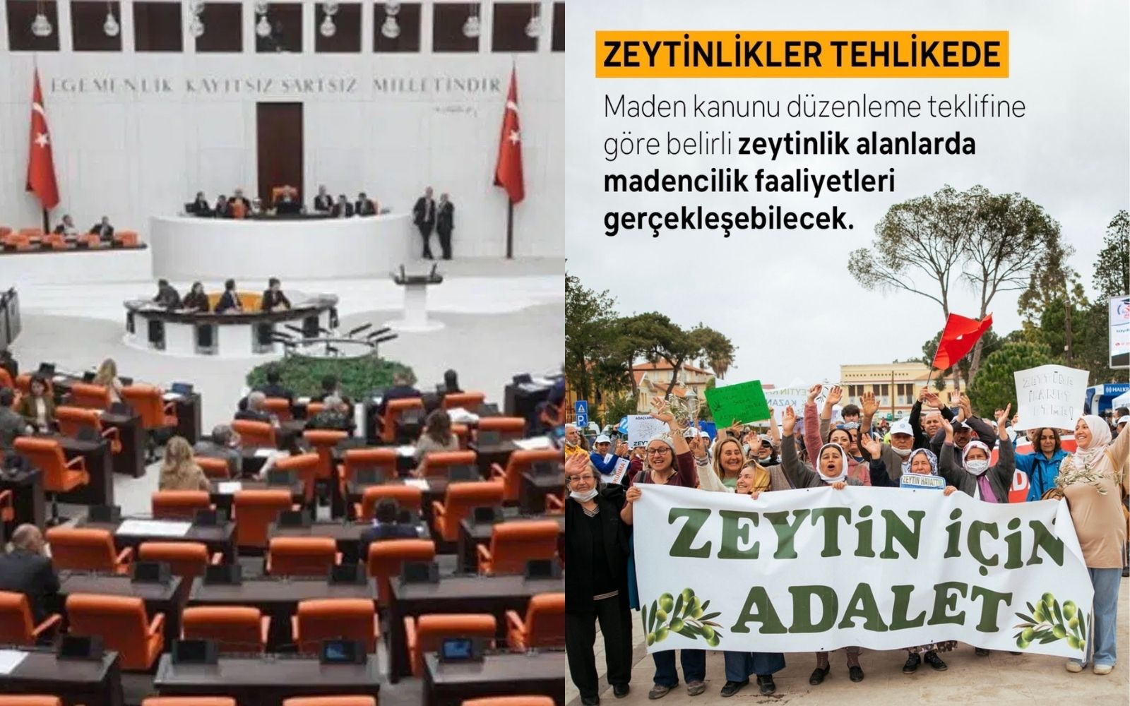 Bu hafta TBMM’de görüşülmeyecek: Zeytinlik teklifi ‘ertelendi’