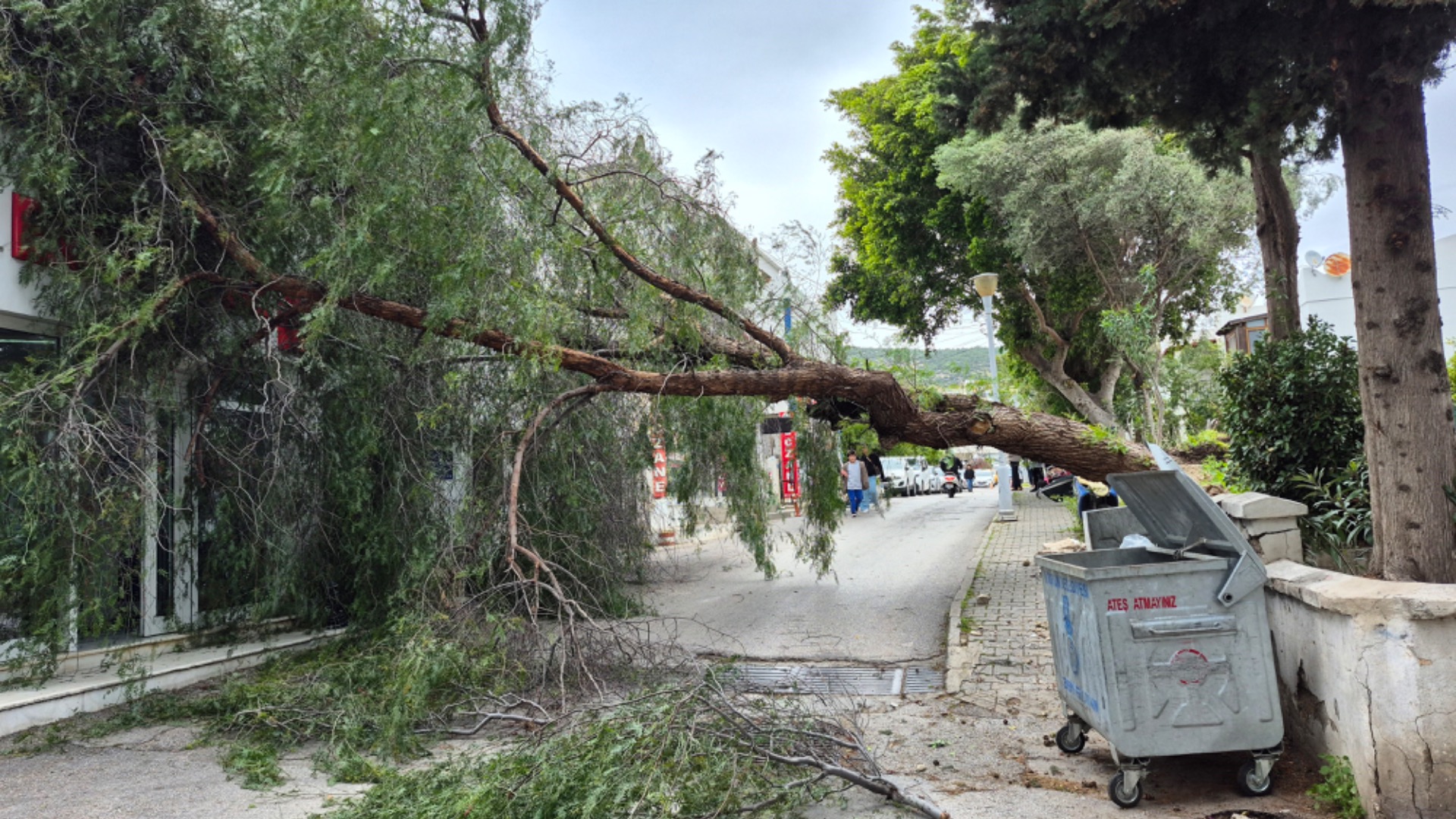 Bodrum’da fırtına etkili oldu