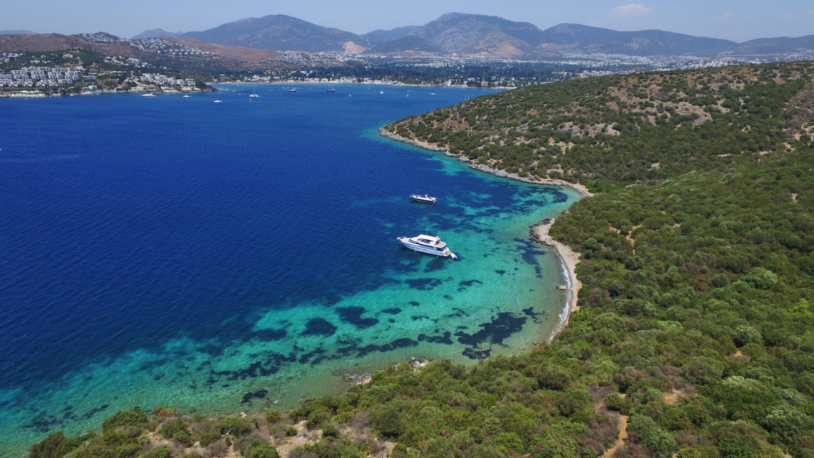 BİTEZ, YARIMADANIN YILDIZI OLMA YOLUNDA