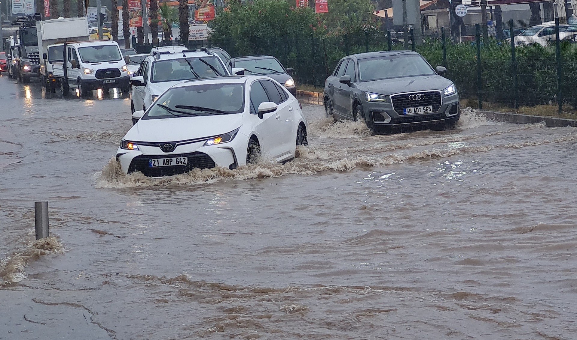 Bodrum’da Kasım bereketi