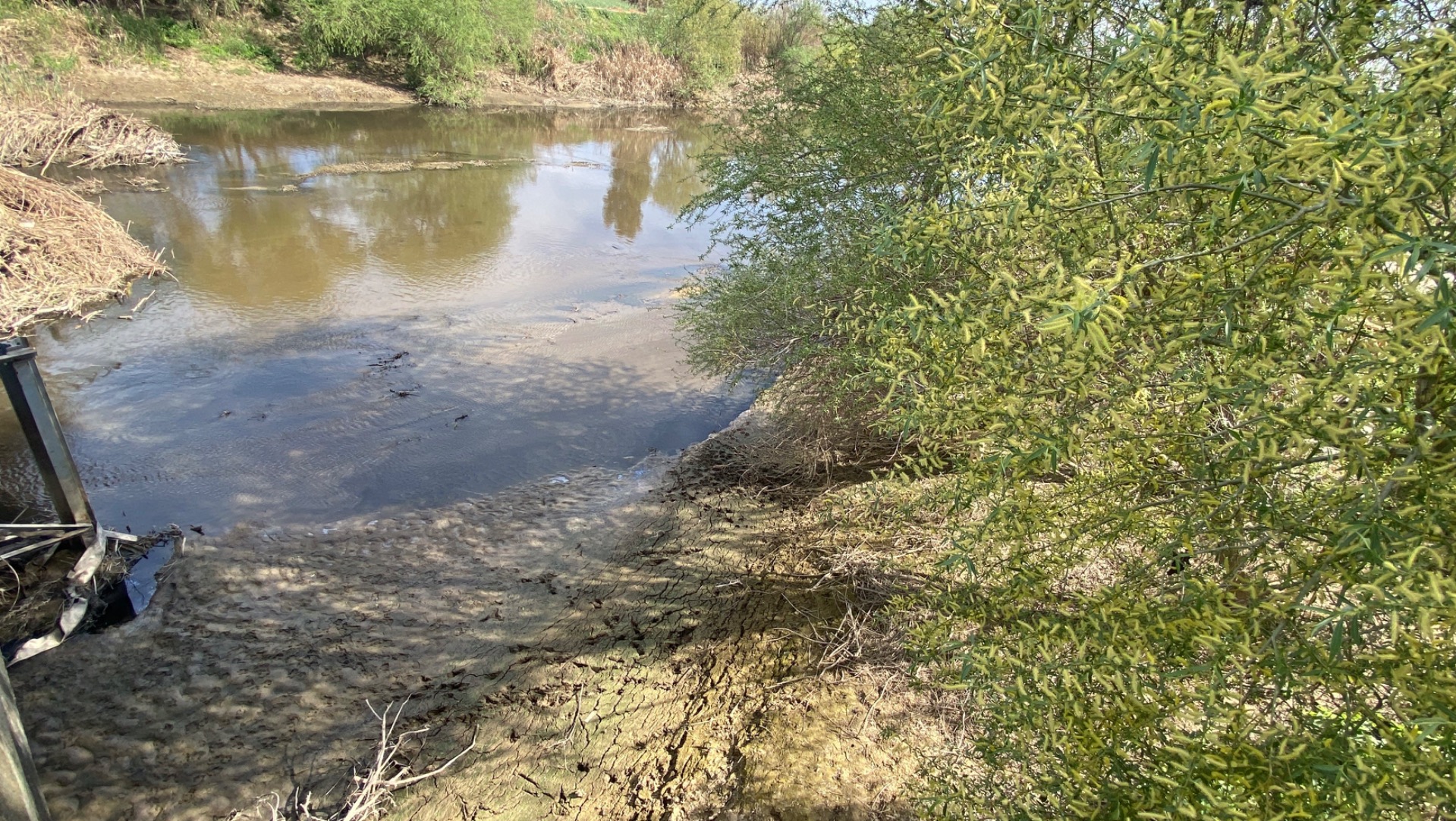 Büyük Menderes Nehri kuraklık tehlikesi ile karşı karşıya!