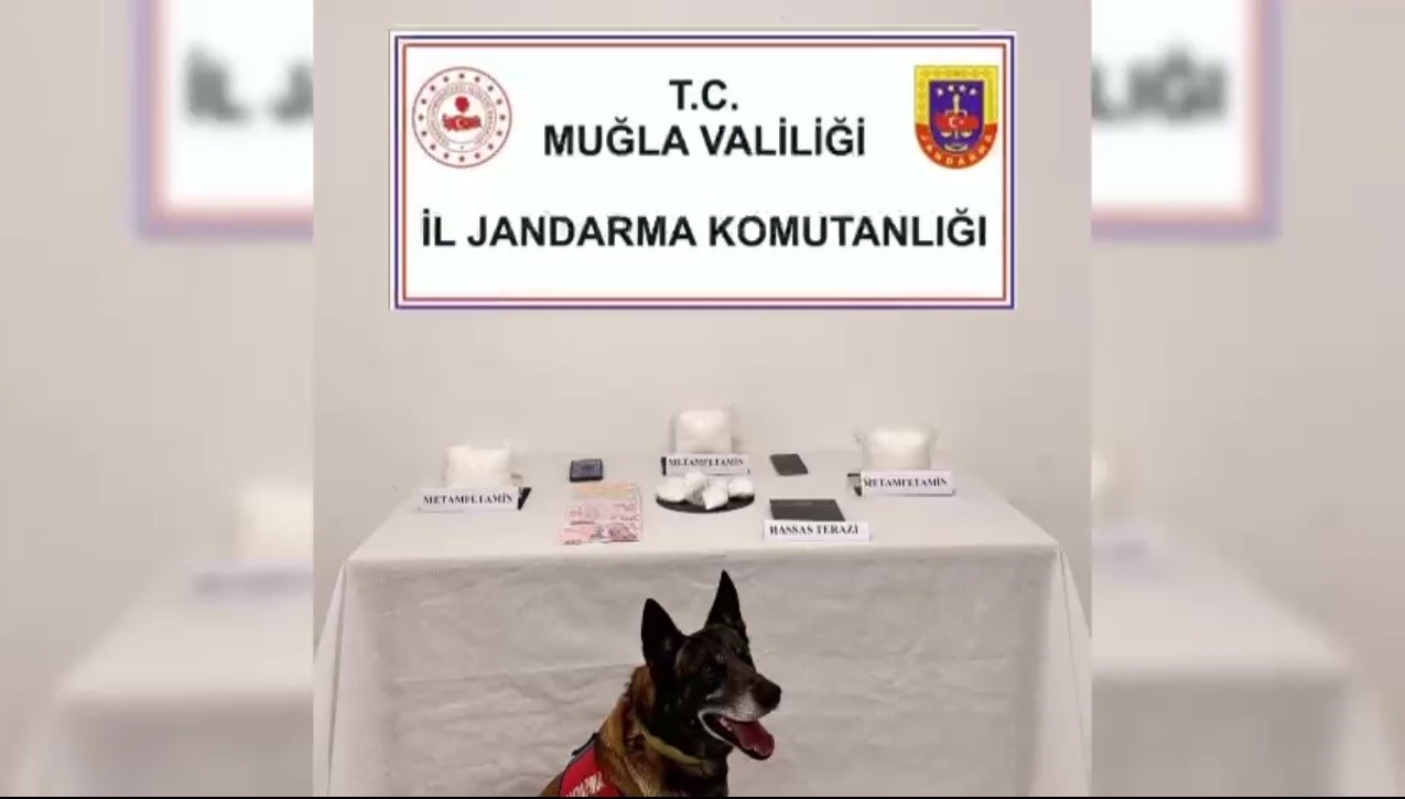 Uyuşturucu operasyonunda 1 tutuklama