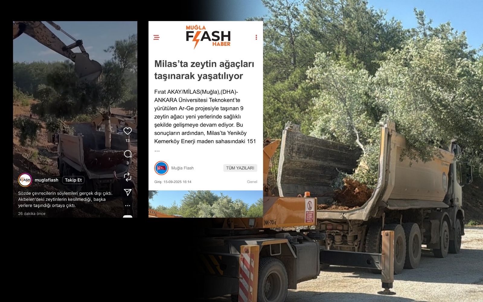 Yandaş basından orman katliamına algı çalışması!
