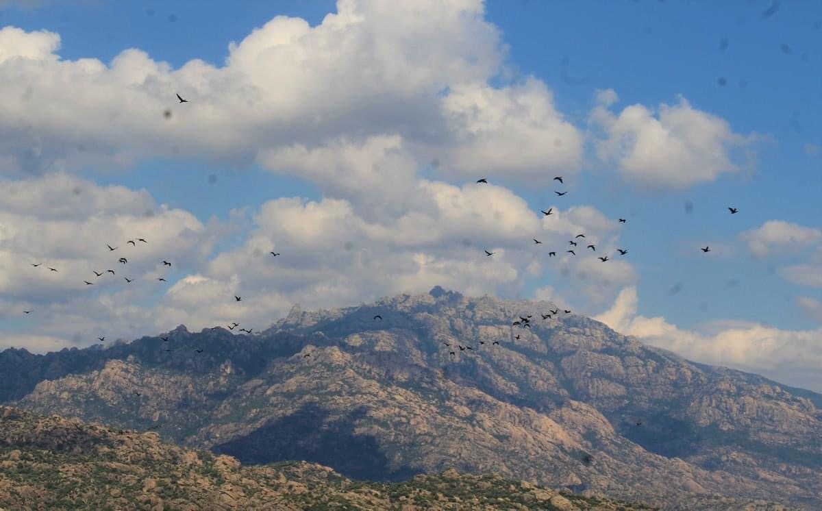 LATMOS (BEŞPARMAK) DAĞLARI’NDA HALK YARIN RES’E KARŞI BİR ARAYA GELECEK 