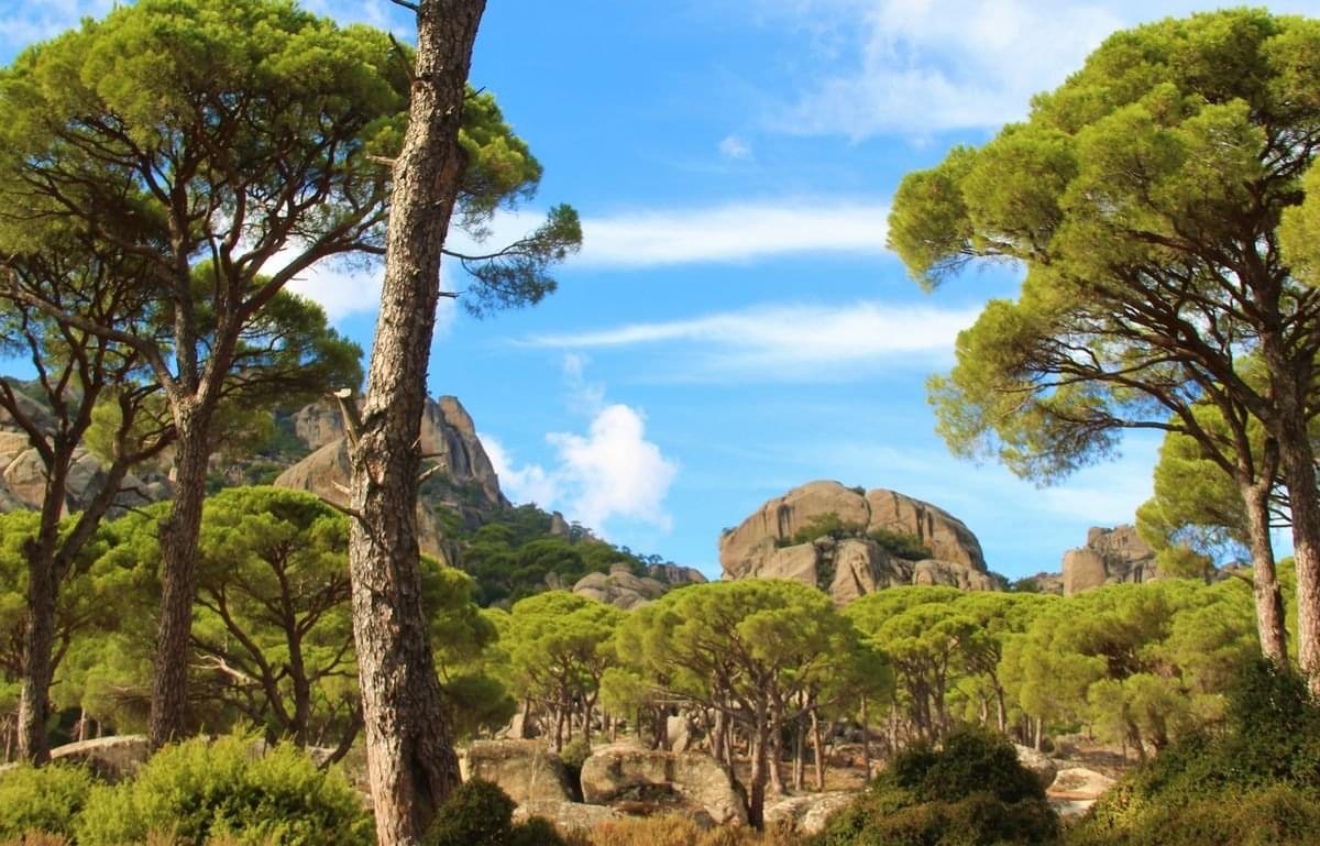 LATMOS (BEŞPARMAK) DAĞLARI’NDA HALK YARIN RES’E KARŞI BİR ARAYA GELECEK 
