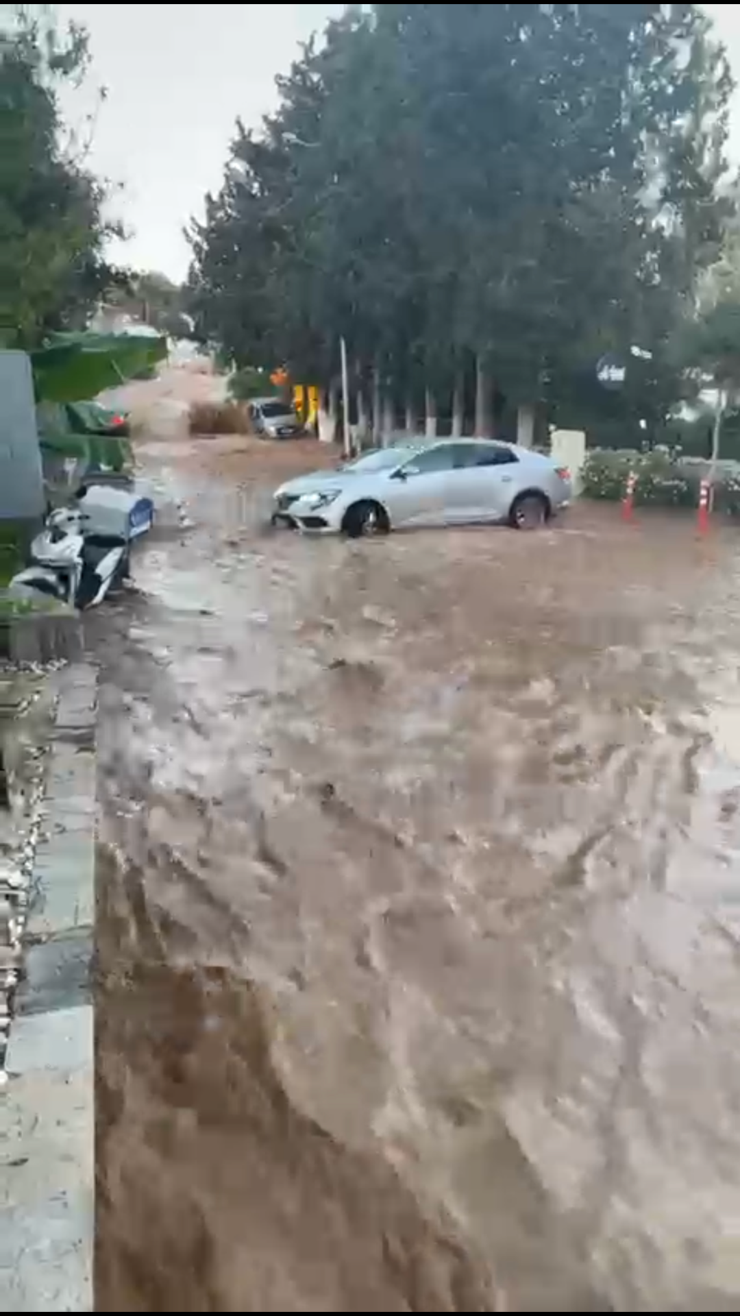 Bitez’i yine su bastı! Vatandaşlar ateş püskürdü!