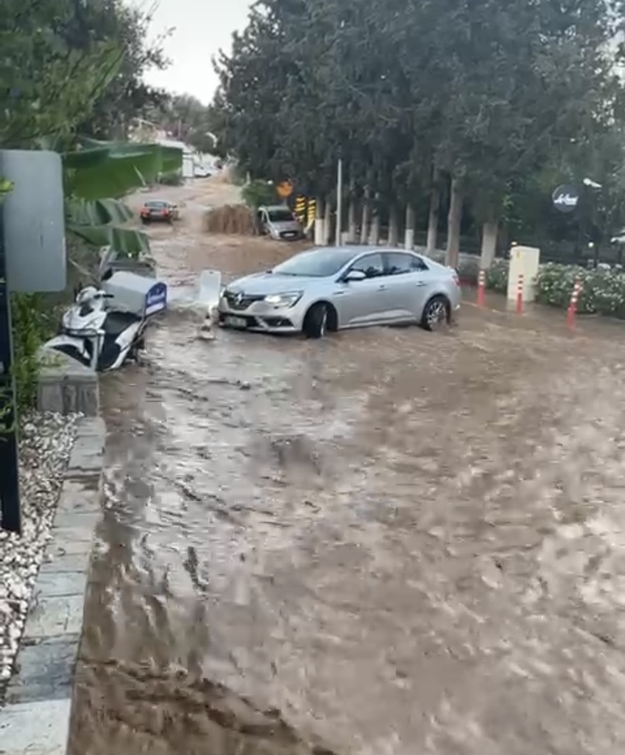 Bitez’i yine su bastı! Vatandaşlar ateş püskürdü!