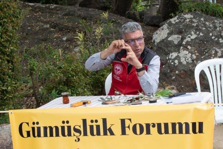 GÜMÜŞLÜK'TE AĞAÇLARIN NASIL AŞILANMASI GEREKTİĞİ ANLATILDI 