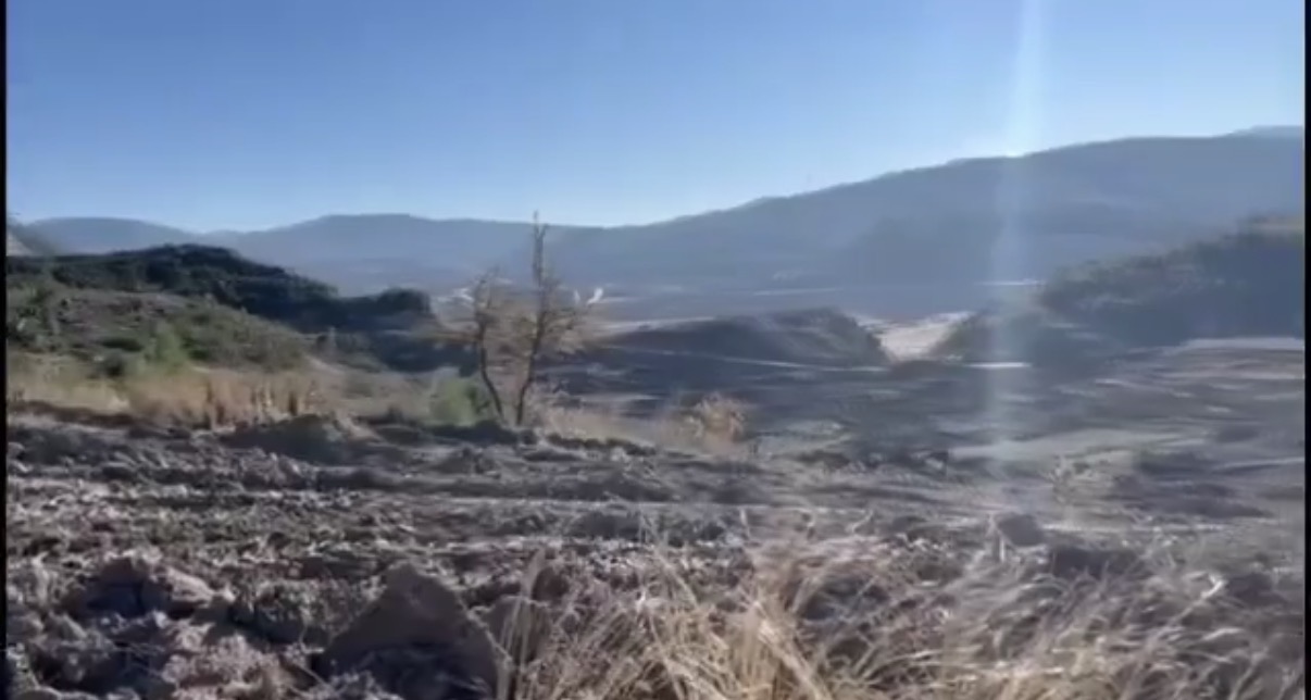  ‘Zeytin Talanı!’ Jandarma Gözetiminde Sürüyor…