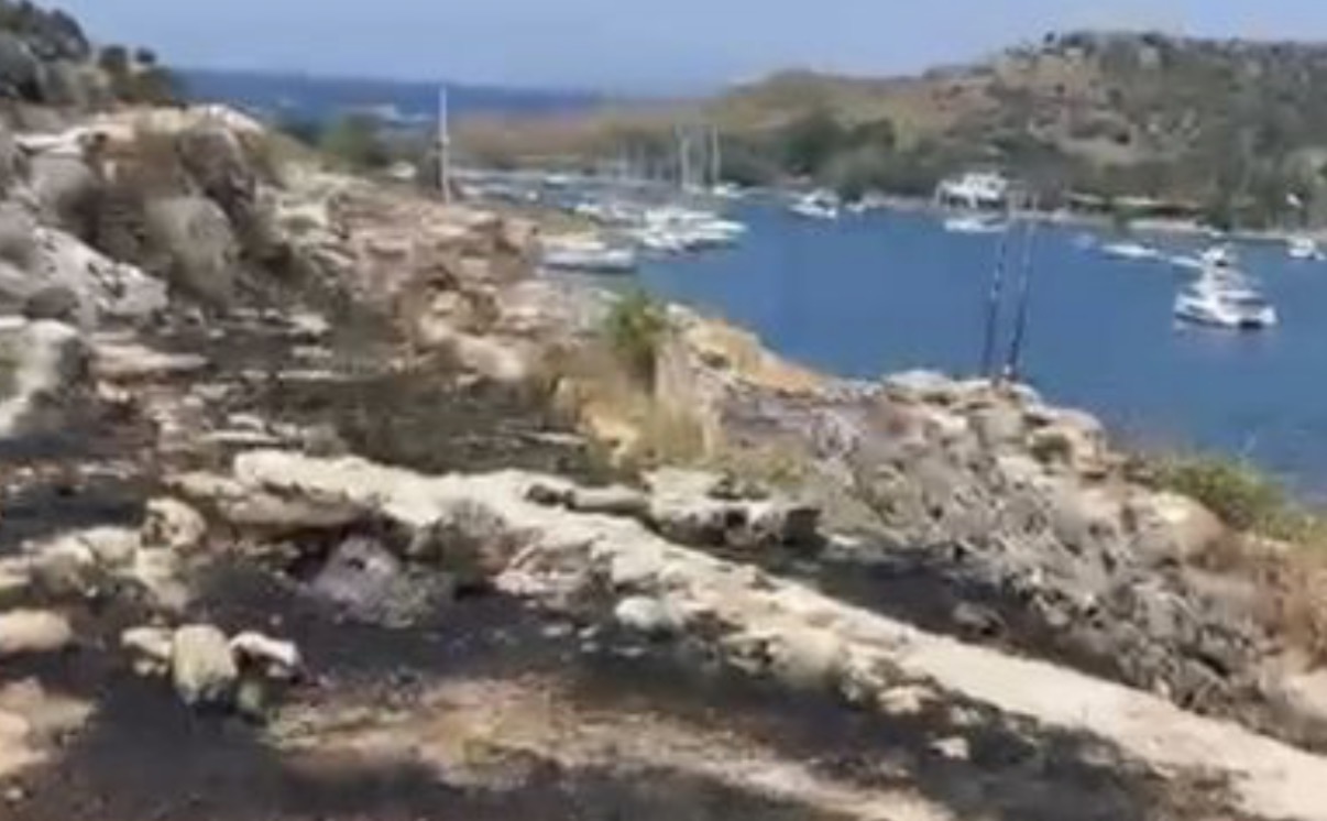 Gümüşlük Tavşan Adasında Yangın Çıktı