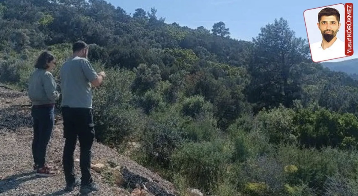 Bodrum Gölköy’e orman içinde apart projesi!