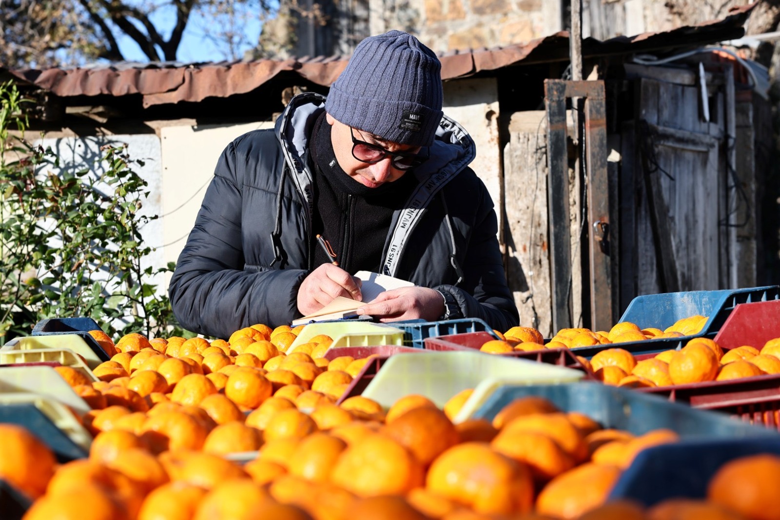 Bodrum Mandalini Türkiye’nin Dört Bir Yanına Ulaşıyor