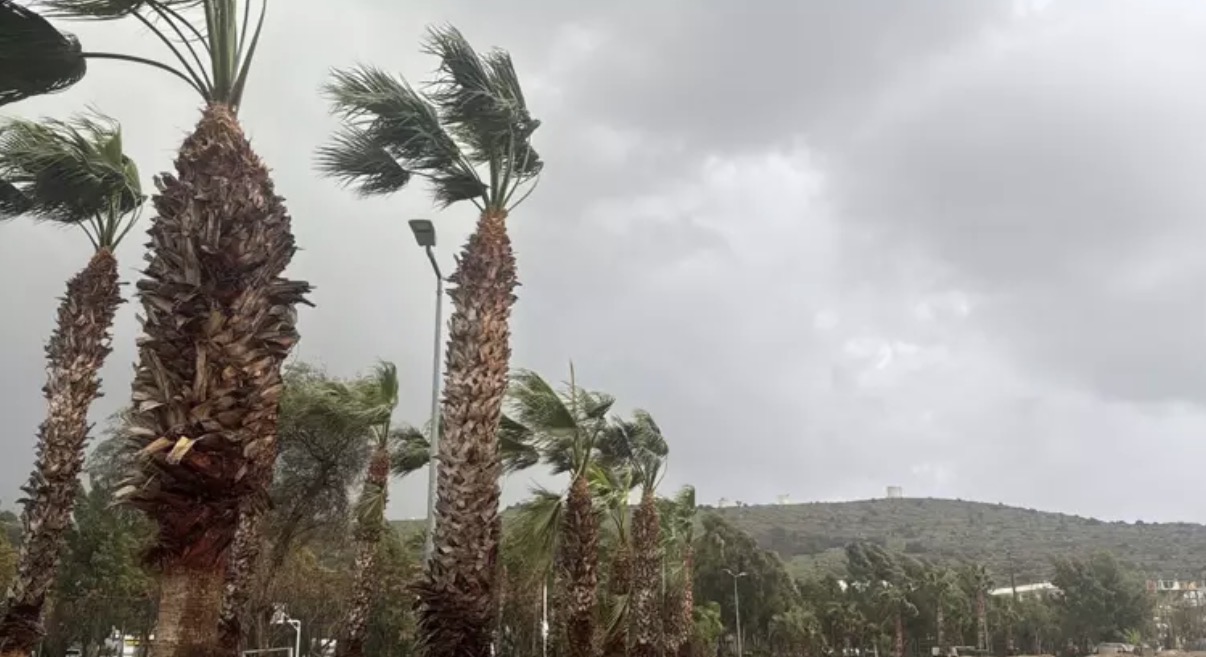 Bodrum’da fırtına; ağaçlar devrildi, motoryat karaya oturdu, feribot seferleri iptal edildi