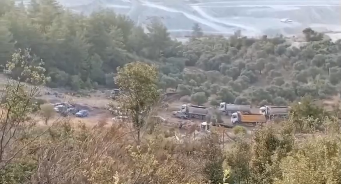 ‘Ey Bodrum-Milas! Ormanını kesmeye başladılar bugün!’