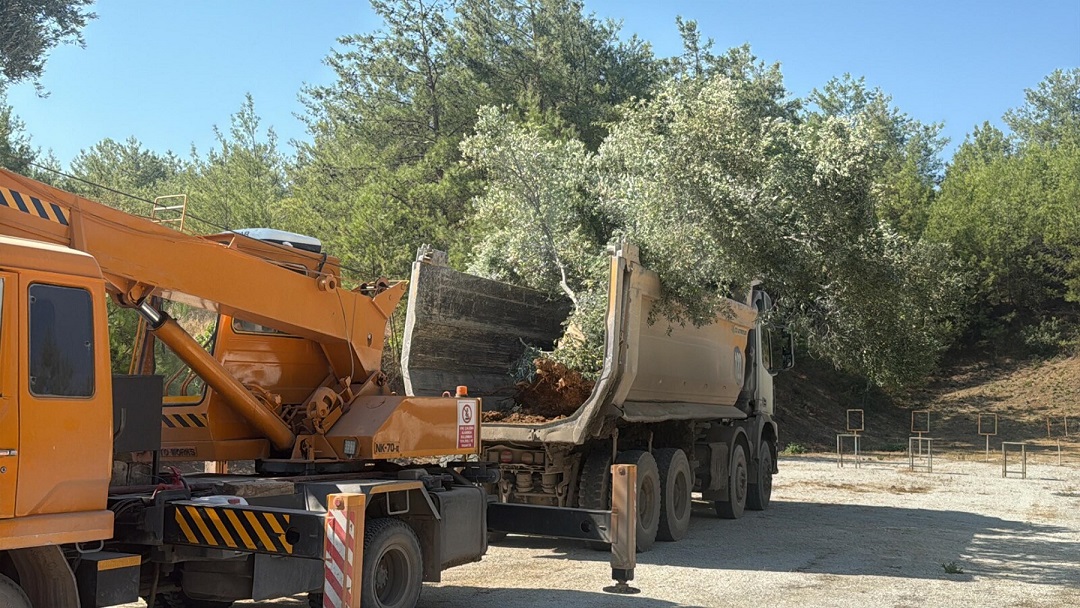 Yandaş basından orman katliamına algı çalışması!
