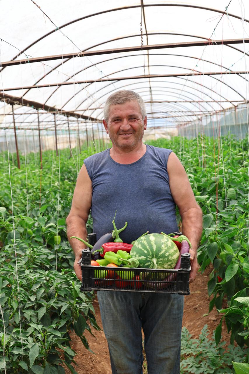 Üreten Bodrum’da Hasat Devam Ediyor: 350 Bin Fide Ürüne Dönüştü