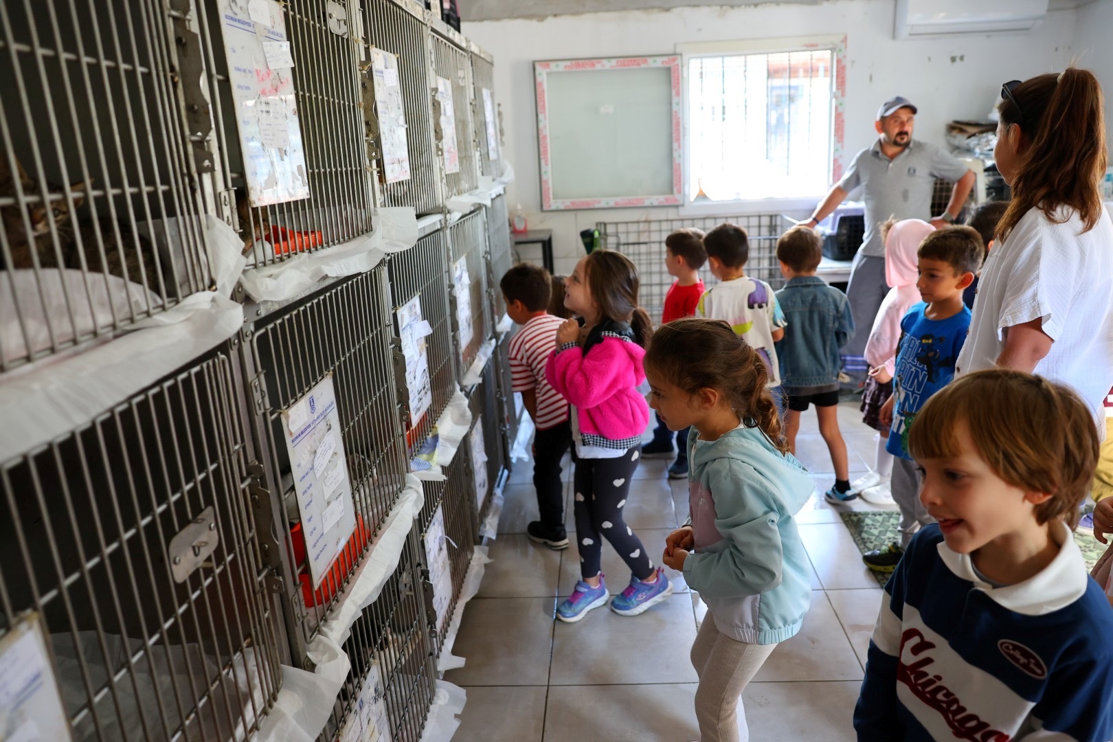 Bodrum Belediyesi Sokaklardaki Dostlarının Yanında