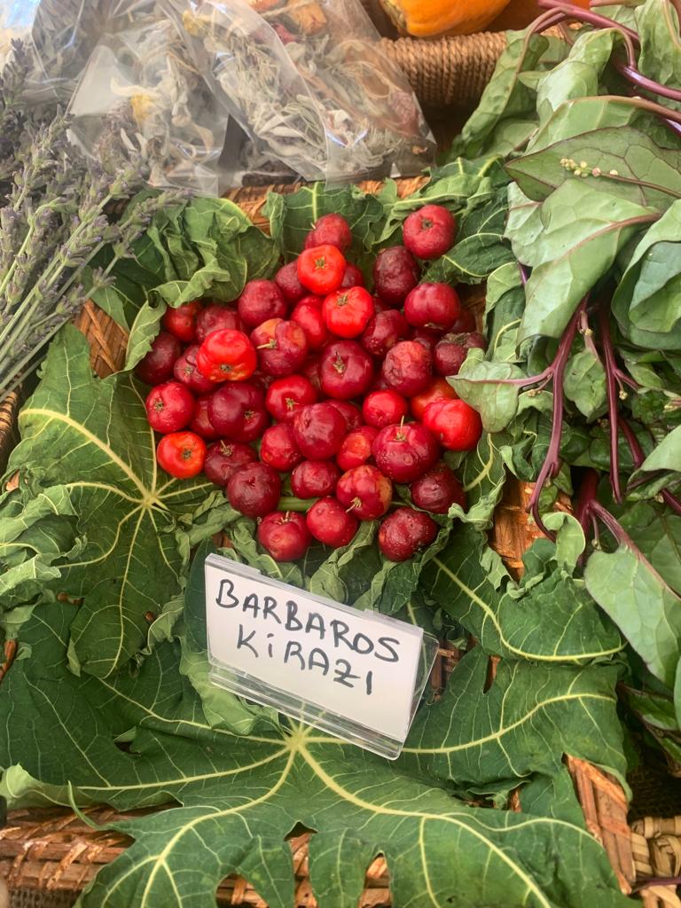 Tasting Bodrum ‘Gelenekten Globale Bodrum Mutfağı’ başladı!