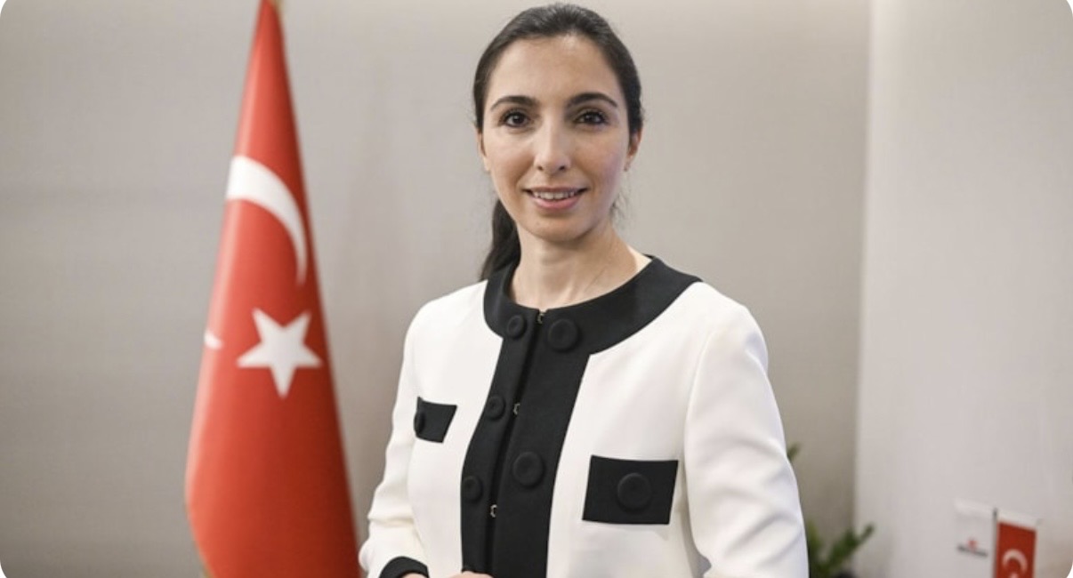 Türkiye'den sonra şimdi Bodrum'un başına dert oldu