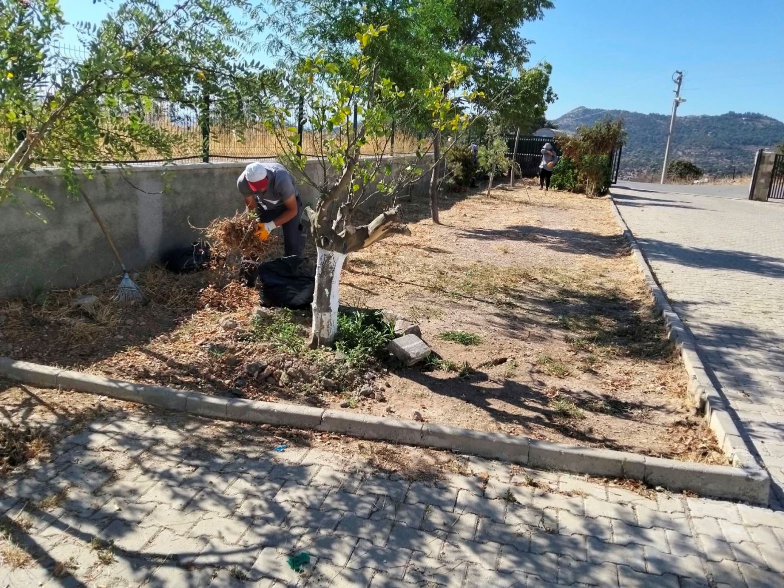 Bodrum’da Ot Temizliği Çalışmaları Sürüyor