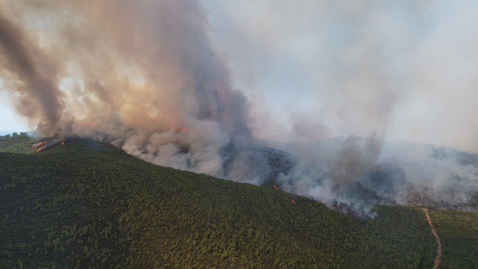 Korkutan yangın Bodrum Güvercinlik’e ilerliyor!