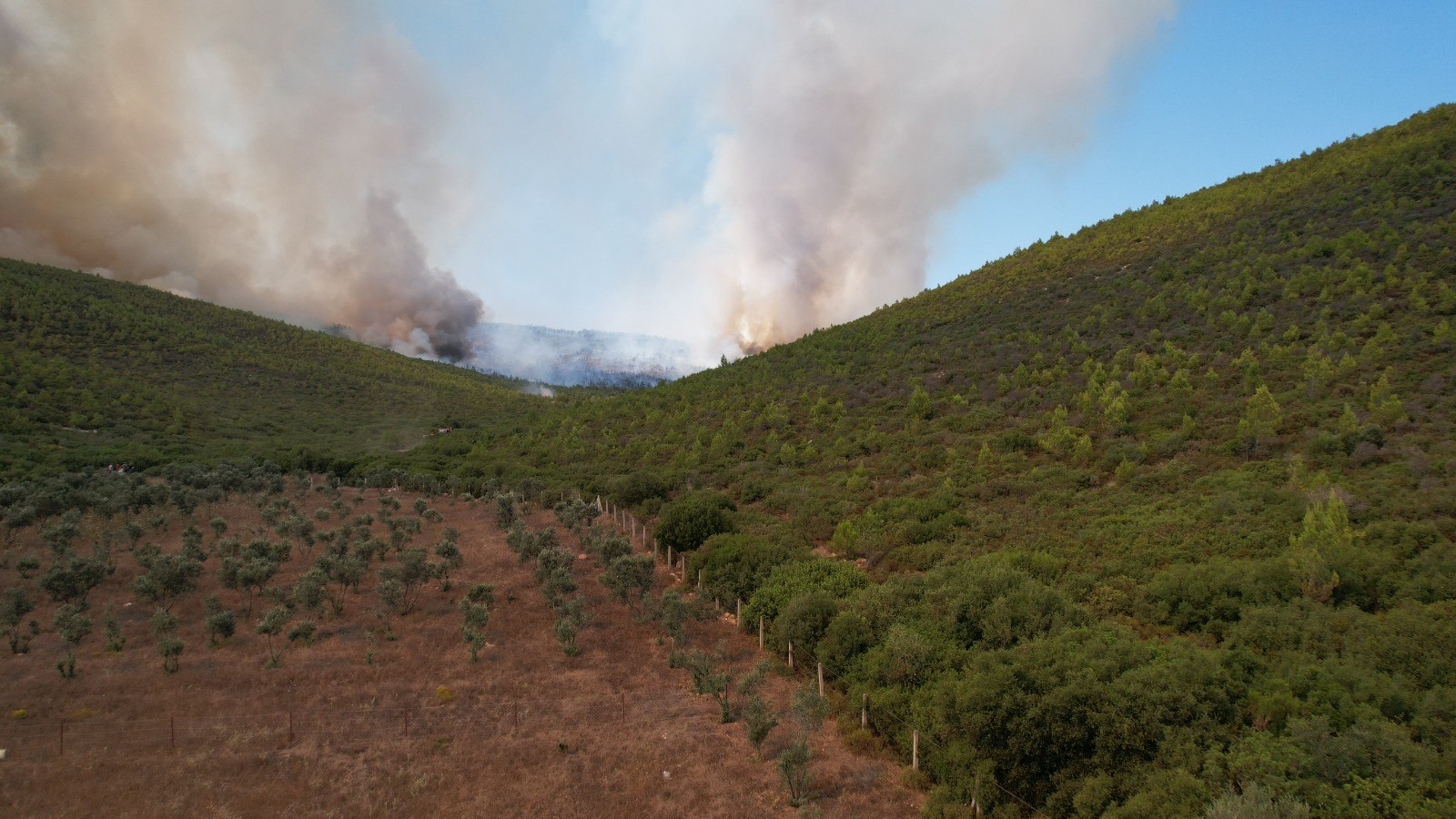 Korkutan yangın Bodrum Güvercinlik’e ilerliyor!