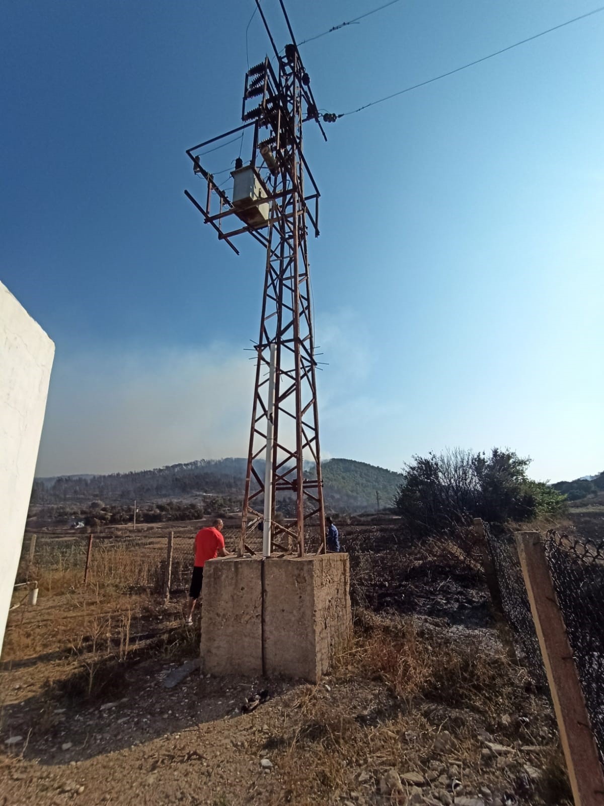 Yangına enerji nakil hattına konan kargalar mı neden oldu? 