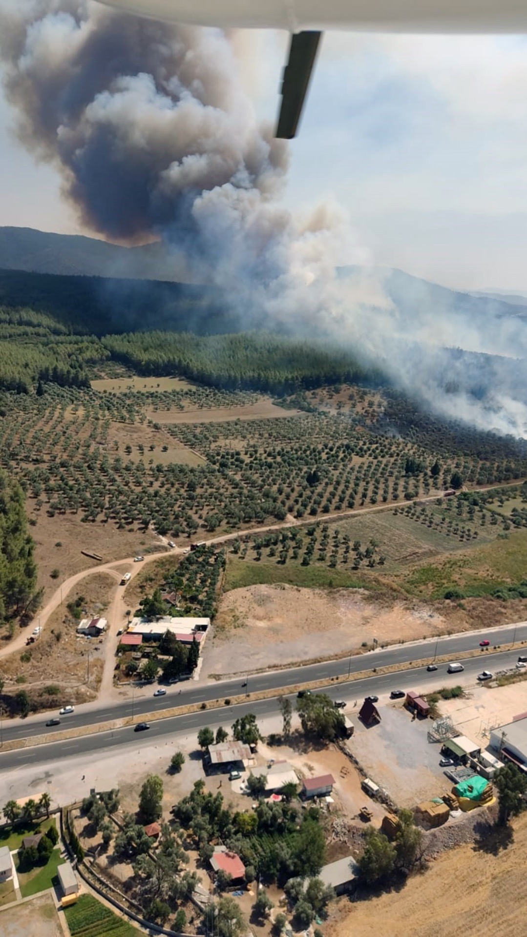 Kundakçı, 160 hektar alanı torpille yakmış!