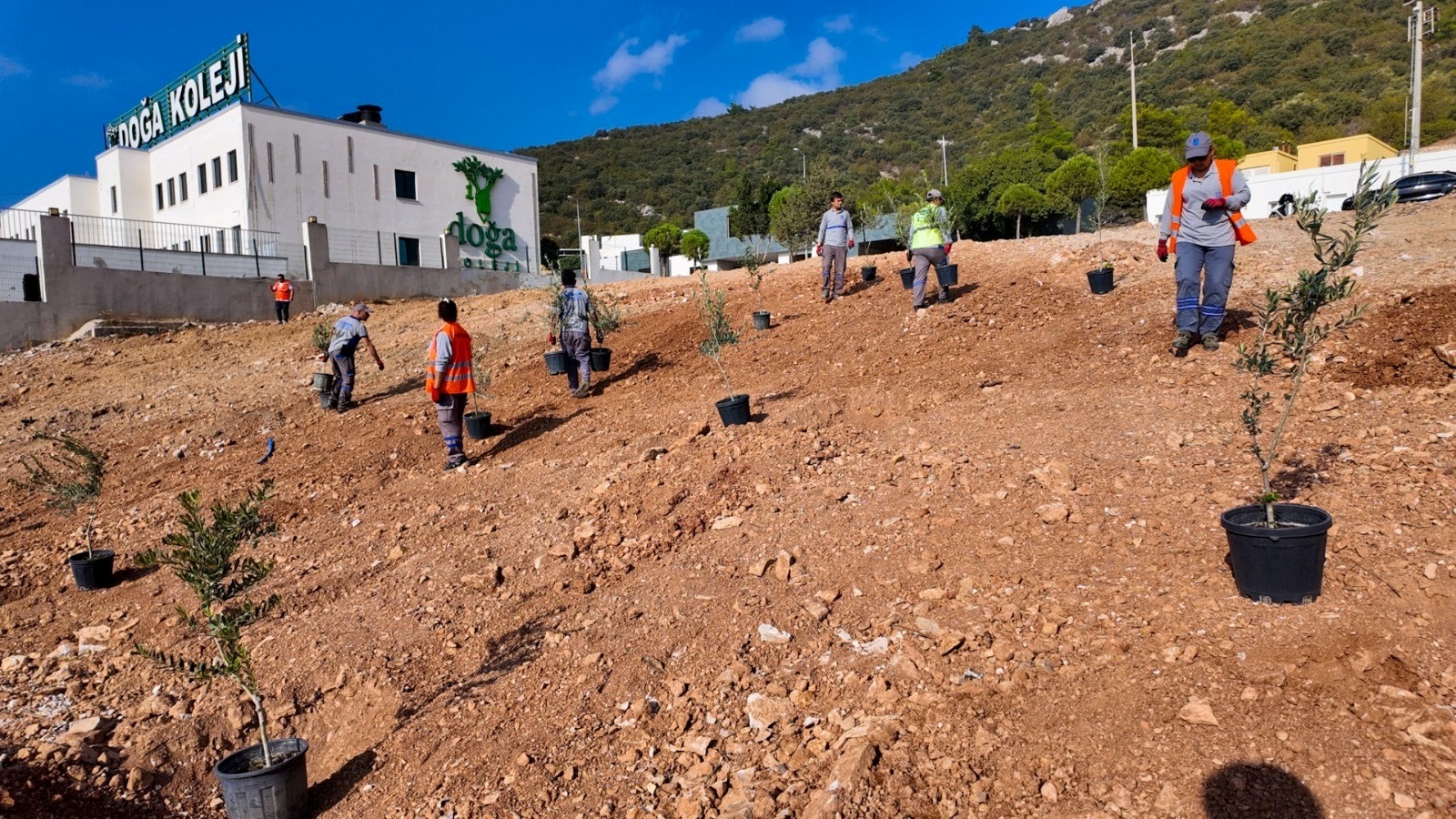 Bodrum Belediyesi'nden çocuklara doğa sevgisi aşılayan etkinlikler