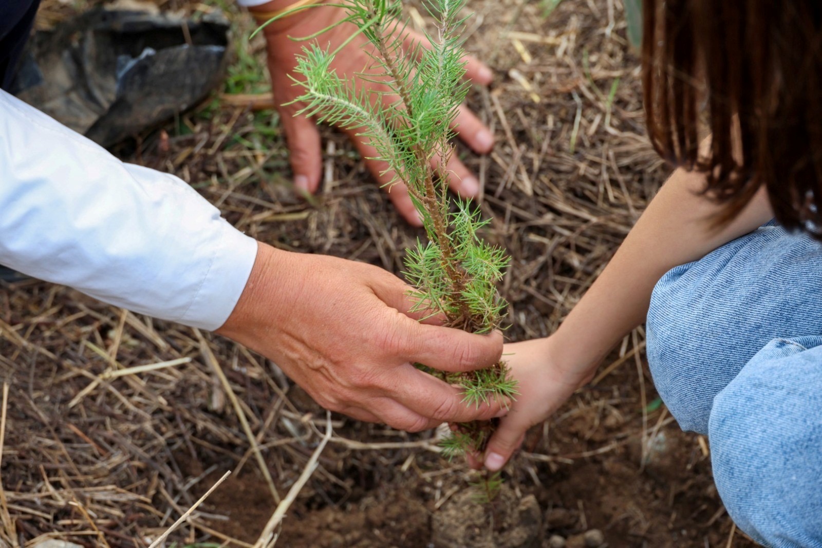 Bodrum Belediyesi'nden çocuklara doğa sevgisi aşılayan etkinlikler
