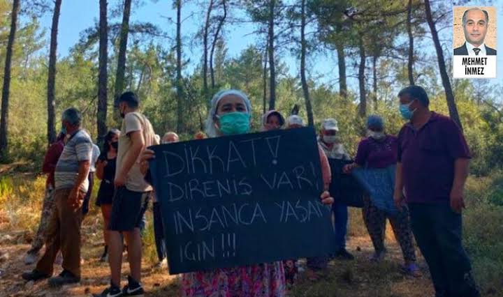 Linyit için ormanı feda etmek ve kentlerde kavrulmak! / Cavit Işık Yavuz