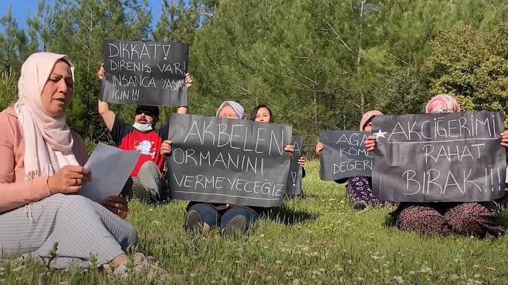 Linyit için ormanı feda etmek ve kentlerde kavrulmak! / Cavit Işık Yavuz