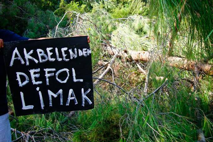 Linyit için ormanı feda etmek ve kentlerde kavrulmak! / Cavit Işık Yavuz