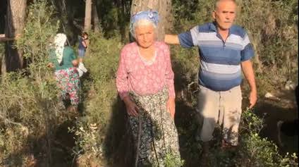 Linyit için ormanı feda etmek ve kentlerde kavrulmak! / Cavit Işık Yavuz